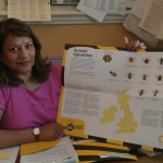 Action Plan to save UK bees
