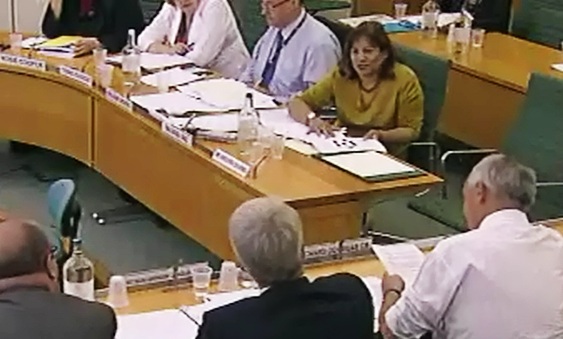 Health Select Committee